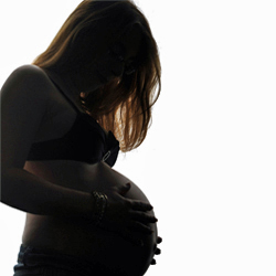 MB Photo Michael Büch - powered by Bscout® - Faire Suchmaschine & Netzwerk!